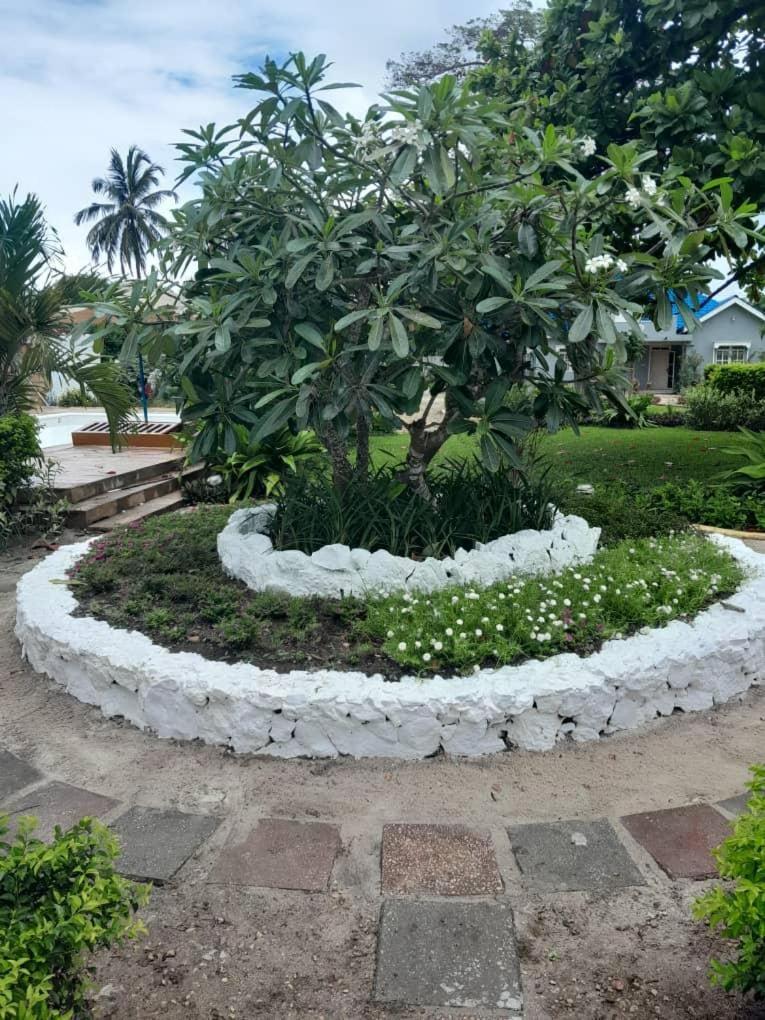We Call It - Bububu Zanzibar